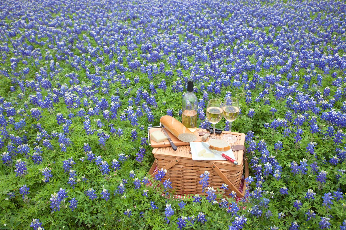 10 Beautiful Wine Regions You Didn’t Know Existed 10 Texas Hill Country