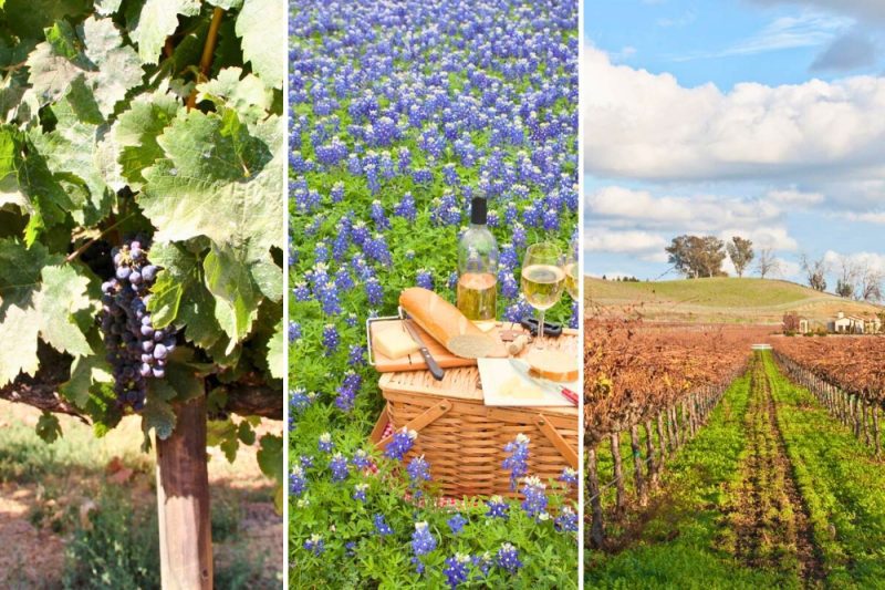 wine regions