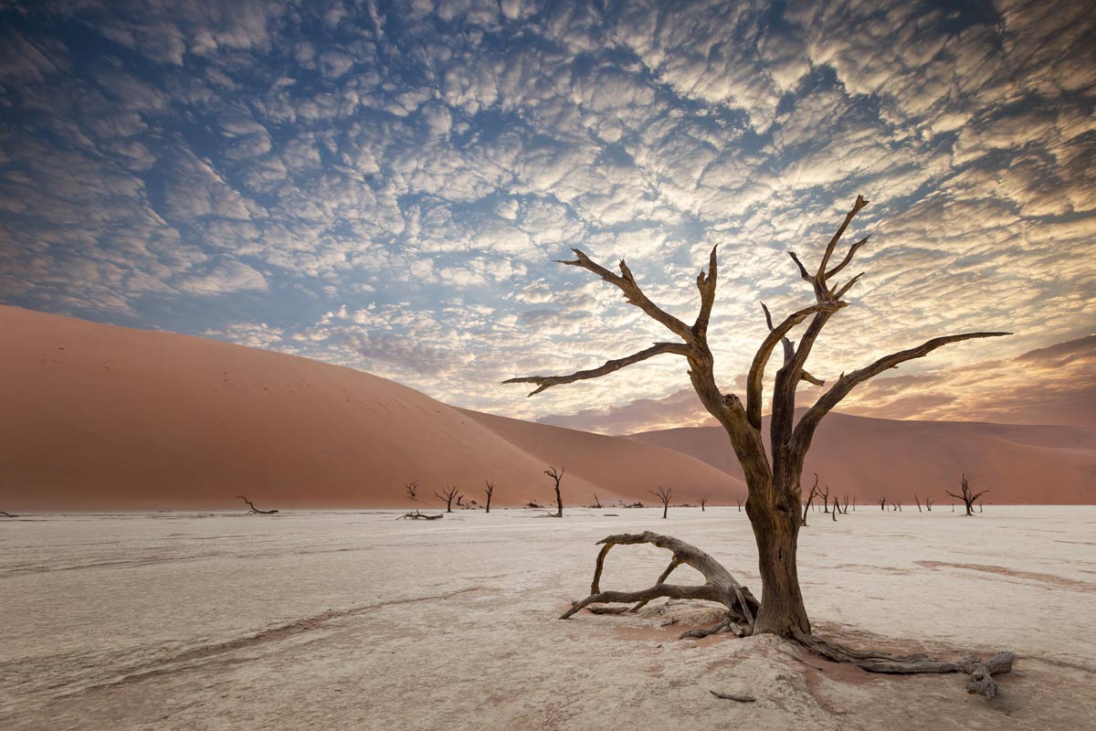 Namib Desert, Namibia