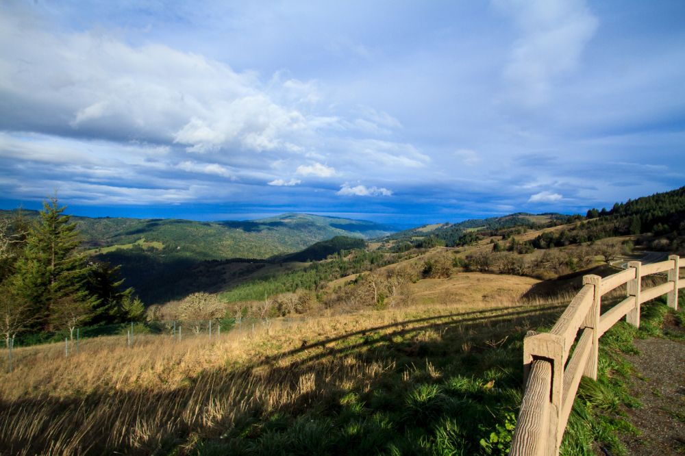 Shasta Trinity National Forest