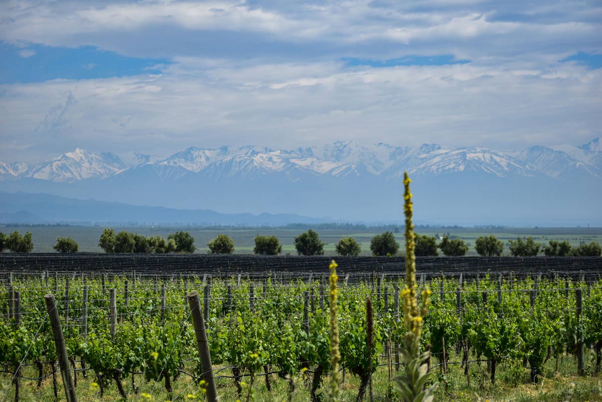 Mendoza, Argentina