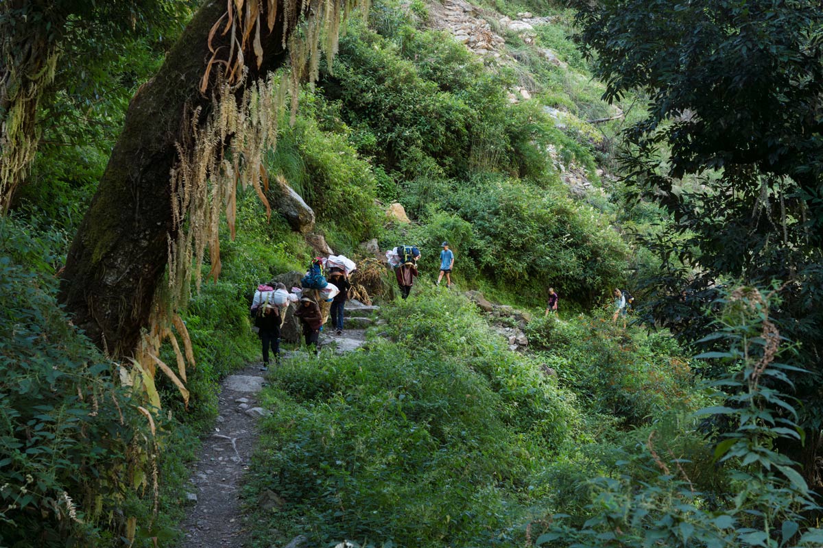 The Best Trekking Routes in Nepal for First-Time Visitors 6 People hiking in Yangtang Valley