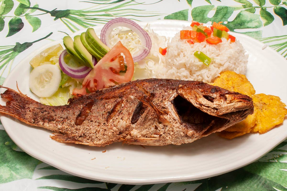 Eating Your Way Through the Dominican Republic 3 Fried red snapper