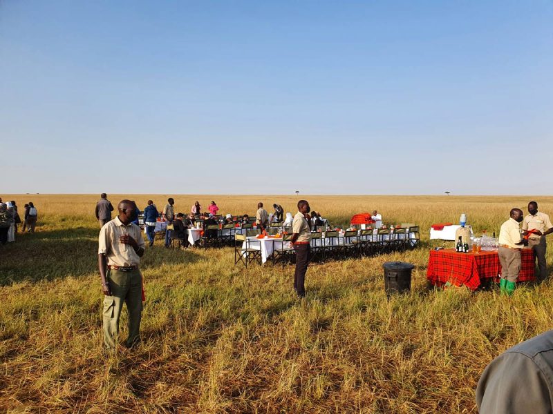 Safari dining